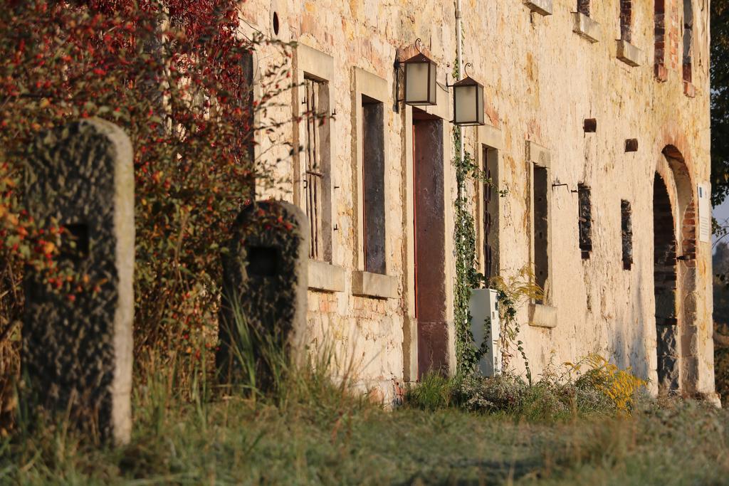 Agroturystyka Dom Pod Sowa Nawojow Luzycki Exterior photo